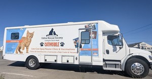 Catmobile Services