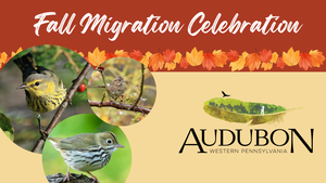 Fall Migration Celebration - Audubon Society of Western PA