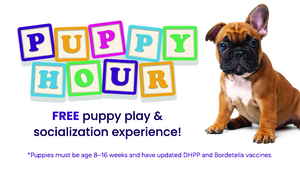 Puppy Hour - August 19