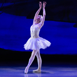 Swan Lake