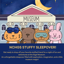 Stuffy Sleepover
