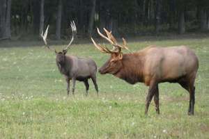 Bus Trip to Elk County-9/14-9/16
