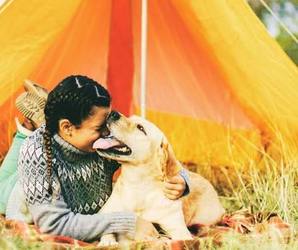 Youth Canine Camping Class