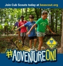 Cub Scout Back to Scouting Adventure