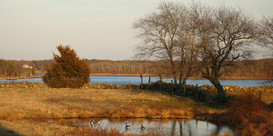 Vanishing Ecologies: Nature Walk Protecting a Changing Ecology