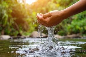 Community Science: Stream Watch