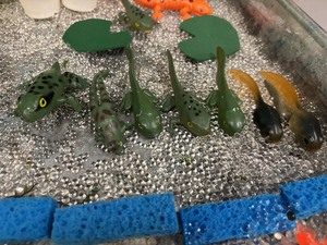 Nature Play Lab