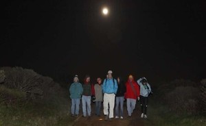 Campground Series: Night Hike