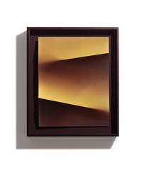 Photographic Arts Council Los Angeles presents a Live Online Event by Artist Fabiola Menchelli