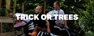 Trick or Trees