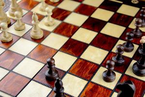 Beginner's Chess