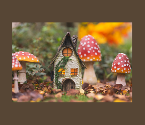 Fairy Garden Terrarium Workshop