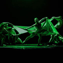 Pilobolus