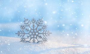 Snowflake Workshop
