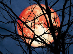 Full Harvest Moon Hike