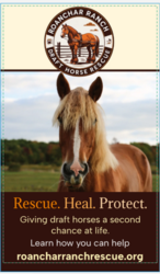 HUGE Garage Sale to benefit Roanchar Ranch Draft Horse Rescue