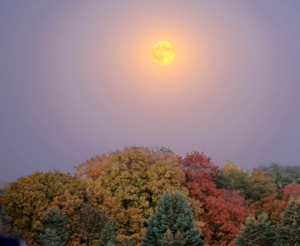 Full Hunter's Moon Hike