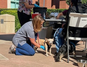 Joybound People & Pets Free Pet Vaccine and Microchip Clinic 