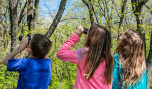Family Birdwatching in the Gardens