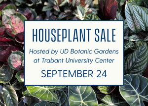 Houseplant Sale by UD Botanic Gardens