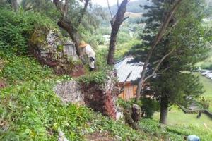 Kauai Community Caring Day