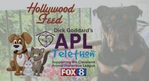 Hollywood Feed’s “Paw It Forward” for Cleveland APL