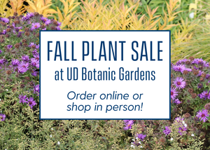 Fall Plant Sale at UD Botanic Gardens
