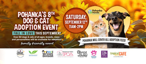 🐾 Fall in Love at Pohanka Honda's 8th Dog & Cat Adoption Day! 🍂❤️