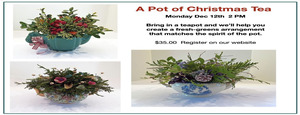 A Tea Pot Arrangement