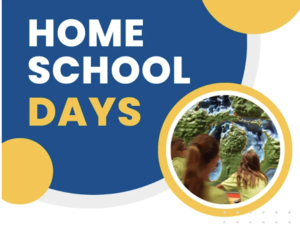 Homeschool History Day