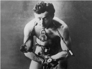 Detroit Was Wild About Harry (Houdini)