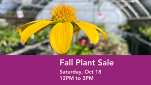 Fall Plant Sale at The Gardens at Heather Farm