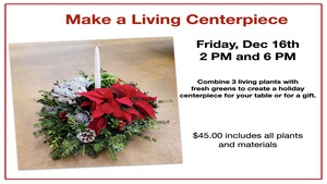 Make A Living Centerpiece