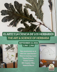 El arte y la ciencia de los herbarios / The Art and Science of Herbaria