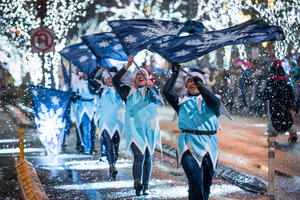 Snowflake Lane Color Guard Auditions