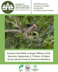 Summer Bird Walk in Roger Williams Park
