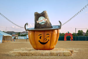 Desert Fall Festival