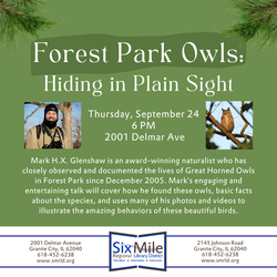 Forest Park Owls: Hiding in Plain Sight