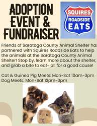 Pet Adoption Event with Yummy Food Truck Too