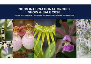 National Capital Orchid Society International Show & Sale