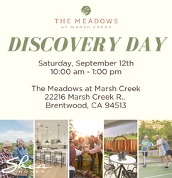 The Meadows by Shea Homes Discovery Day - September 12th