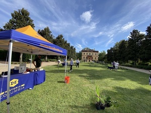 Fall Plant Sale