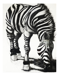 Wild Hearts Gallery  Marcia Rackstraw: 1949-2026 Reflecting on a Lifetime of Art, a Retrospective