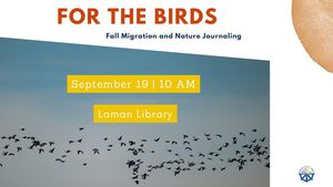 For The Birds: Fall Migration And Nature Journaling