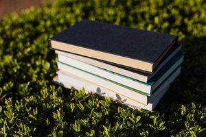 Cozy Mystery and More Book Club at Vineland Public Library!