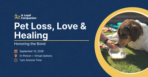 Pet Loss, Love & Healing: Honoring the Bond