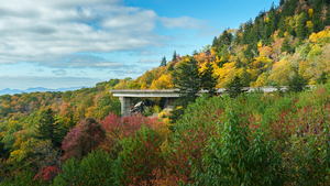 High Country Photography: Capturing Fall to Winter Landscapes