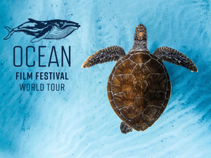 Ocean Film Festival World Tour