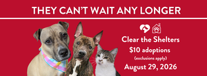 Clear the Shelters