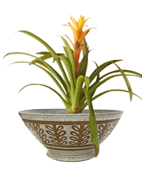 Seconds Sale at Fountain Square Clay Center